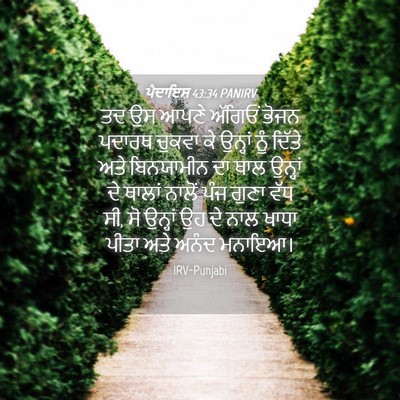Picture 04 - ਪੈਦਾਇਸ਼ 43:34 PANIRV - ਤਦ ਉਸ ਆਪਣੇ ਅੱਗਿਓਂ - Bible Verse Picture