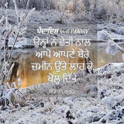 Picture 04 - ਪੈਦਾਇਸ਼ 44:11 PANIRV - ਉਨ੍ਹਾਂ ਨੇ ਛੇਤੀ ਨਾਲ - Bible Verse Picture