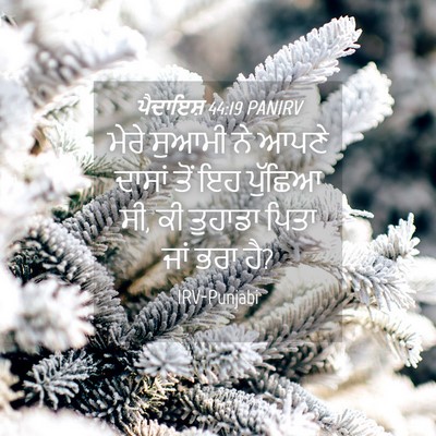 Picture 04 - ਪੈਦਾਇਸ਼ 44:19 PANIRV - ਮੇਰੇ ਸੁਆਮੀ ਨੇ ਆਪਣੇ - Bible Verse Picture