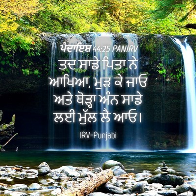 Picture 04 - ਪੈਦਾਇਸ਼ 44:25 PANIRV - ਤਦ ਸਾਡੇ ਪਿਤਾ ਨੇ - Bible Verse Picture