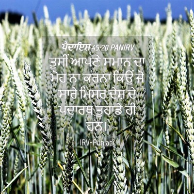 Picture 04 - ਪੈਦਾਇਸ਼ 45:20 PANIRV - ਤੁਸੀਂ ਆਪਣੇ ਸਮਾਨ ਦਾ - Bible Verse Picture