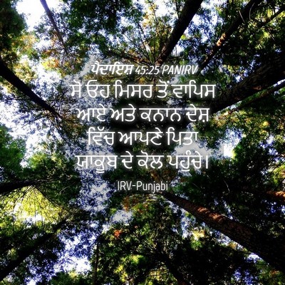 Picture 04 - ਪੈਦਾਇਸ਼ 45:25 PANIRV - ਸੋ ਓਹ ਮਿਸਰ ਤੋਂ - Bible Verse Picture