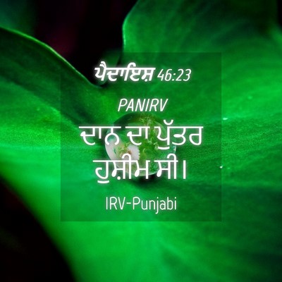 Picture 04 - ਪੈਦਾਇਸ਼ 46:23 PANIRV - ਦਾਨ ਦਾ ਪੁੱਤਰ - Bible Verse Picture