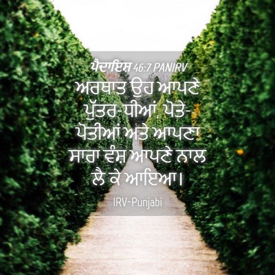 Picture 04 - ਪੈਦਾਇਸ਼ 46:7 PANIRV - ਅਰਥਾਤ ਉਹ ਆਪਣੇ - Bible Verse Picture