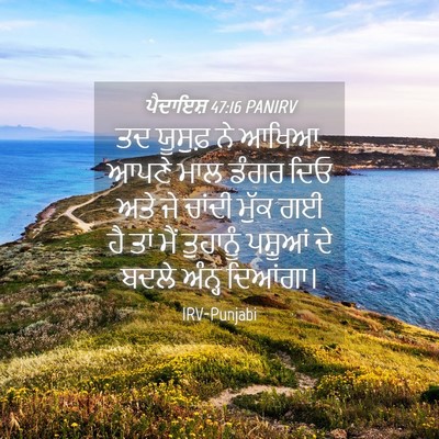 Picture 04 - ਪੈਦਾਇਸ਼ 47:16 PANIRV - ਤਦ ਯੂਸੁਫ਼ ਨੇ ਆਖਿਆ, - Bible Verse Picture