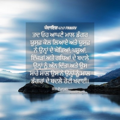 Picture 04 - ਪੈਦਾਇਸ਼ 47:17 PANIRV - ਤਦ ਓਹ ਆਪਣੇ ਮਾਲ ਡੰਗਰ - Bible Verse Picture