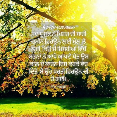 Picture 04 - ਪੈਦਾਇਸ਼ 47:20 PANIRV - ਤਦ ਯੂਸੁਫ਼ ਨੇ ਮਿਸਰ - Bible Verse Picture