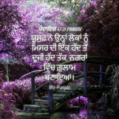 Picture 04 - ਪੈਦਾਇਸ਼ 47:21 PANIRV - ਯੂਸੁਫ਼ ਨੇ ਉਨ੍ਹਾਂ - Bible Verse Picture