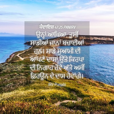 Picture 04 - ਪੈਦਾਇਸ਼ 47:25 PANIRV - ਉਨ੍ਹਾਂ ਆਖਿਆ, ਤੁਸੀਂ - Bible Verse Picture