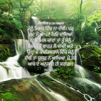 Picture 04 - ਪੈਦਾਇਸ਼ 47:30 PANIRV - ਮੈਨੂੰ ਮਿਸਰ ਵਿੱਚ ਨਾ - Bible Verse Picture