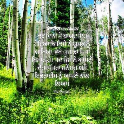 Picture 04 - ਪੈਦਾਇਸ਼ 48:1 PANIRV - ਕੁਝ ਦਿਨਾਂ ਤੋਂ ਬਾਅਦ - Bible Verse Picture