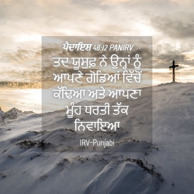 Picture 04 - ਪੈਦਾਇਸ਼ 48:12 PANIRV - ਤਦ ਯੂਸੁਫ਼ ਨੇ - Bible Verse Picture