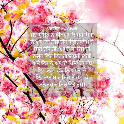 Picture 04 - ਪੈਦਾਇਸ਼ 48:17 PANIRV - ਜਦ ਯੂਸੁਫ਼ ਨੇ ਵੇਖਿਆ - Bible Verse Picture
