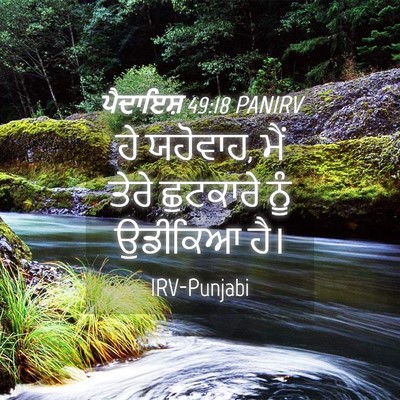Picture 04 - ਪੈਦਾਇਸ਼ 49:18 PANIRV - ਹੇ ਯਹੋਵਾਹ, ਮੈਂ ਤੇਰੇ - Bible Verse Picture