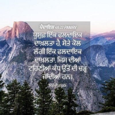 Picture 04 - ਪੈਦਾਇਸ਼ 49:22 PANIRV - ਯੂਸੁਫ਼ ਇੱਕ ਫਲਦਾਇਕ - Bible Verse Picture