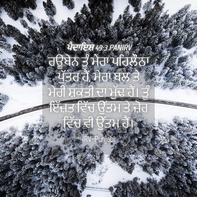 Picture 04 - ਪੈਦਾਇਸ਼ 49:3 PANIRV - ਰਊਬੇਨ ਤੂੰ ਮੇਰਾ - Bible Verse Picture