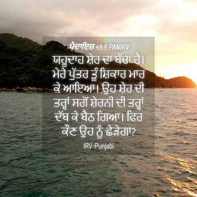Picture 04 - ਪੈਦਾਇਸ਼ 49:9 PANIRV - ਯਹੂਦਾਹ ਸ਼ੇਰ ਦਾ - Bible Verse Picture