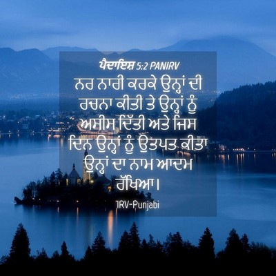 Picture 04 - ਪੈਦਾਇਸ਼ 5:2 PANIRV - ਨਰ ਨਾਰੀ ਕਰਕੇ - Bible Verse Picture