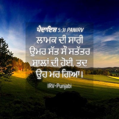 Picture 04 - ਪੈਦਾਇਸ਼ 5:31 PANIRV - ਲਾਮਕ ਦੀ ਸਾਰੀ ਉਮਰ - Bible Verse Picture