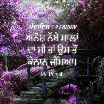 Picture 04 - ਪੈਦਾਇਸ਼ 5:9 PANIRV - ਅਨੋਸ਼ ਨੱਬੇ ਸਾਲਾਂ - Bible Verse Picture