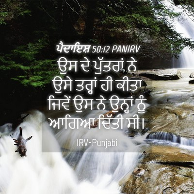 Picture 04 - ਪੈਦਾਇਸ਼ 50:12 PANIRV - ਉਸ ਦੇ ਪੁੱਤਰਾਂ ਨੇ - Bible Verse Picture