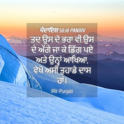 Picture 04 - ਪੈਦਾਇਸ਼ 50:18 PANIRV - ਤਦ ਉਸ ਦੇ ਭਰਾ ਵੀ ਉਸ - Bible Verse Picture