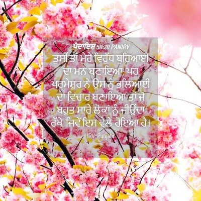 Picture 04 - ਪੈਦਾਇਸ਼ 50:20 PANIRV - ਤੁਸੀਂ ਤਾਂ ਮੇਰੇ - Bible Verse Picture