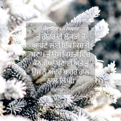Picture 04 - ਪੈਦਾਇਸ਼ 6:14 PANIRV - ਤੂੰ ਗੋਫ਼ਰ ਦੀ ਲੱਕੜੀ - Bible Verse Picture