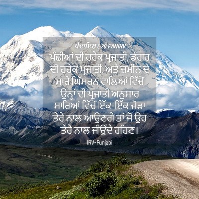 Picture 04 - ਪੈਦਾਇਸ਼ 6:20 PANIRV - ਪੰਛੀਆਂ ਦੀ ਹਰੇਕ - Bible Verse Picture