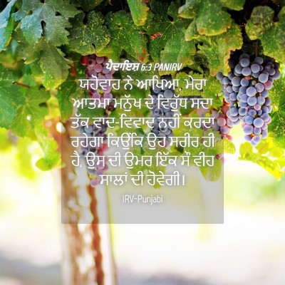 Picture 04 - ਪੈਦਾਇਸ਼ 6:3 PANIRV - ਯਹੋਵਾਹ ਨੇ ਆਖਿਆ, - Bible Verse Picture