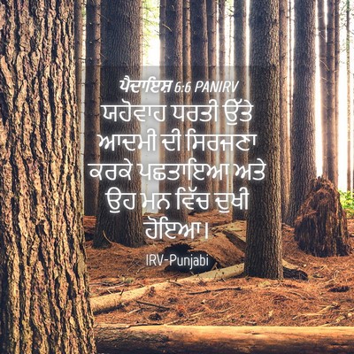 Picture 04 - ਪੈਦਾਇਸ਼ 6:6 PANIRV - ਯਹੋਵਾਹ ਧਰਤੀ ਉੱਤੇ - Bible Verse Picture