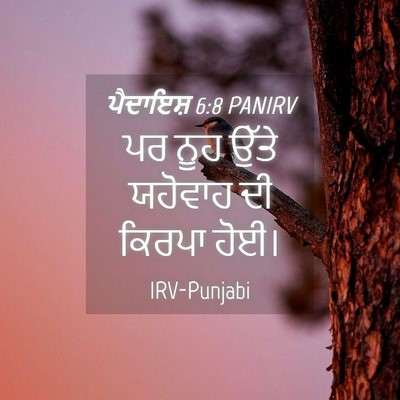 Picture 04 - ਪੈਦਾਇਸ਼ 6:8 PANIRV - ਪਰ ਨੂਹ ਉੱਤੇ ਯਹੋਵਾਹ - Bible Verse Picture