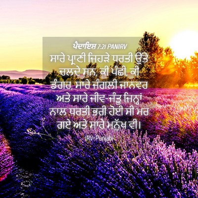 Picture 04 - ਪੈਦਾਇਸ਼ 7:21 PANIRV - ਸਾਰੇ ਪ੍ਰਾਣੀ ਜਿਹੜੇ - Bible Verse Picture