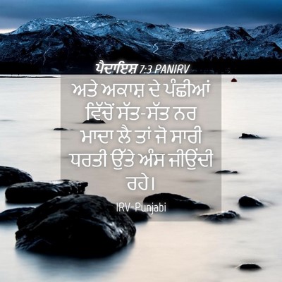 Picture 04 - ਪੈਦਾਇਸ਼ 7:3 PANIRV - ਅਤੇ ਅਕਾਸ਼ ਦੇ - Bible Verse Picture