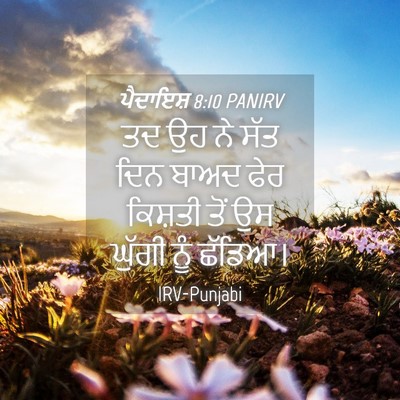 Picture 04 - ਪੈਦਾਇਸ਼ 8:10 PANIRV - ਤਦ ਉਹ ਨੇ ਸੱਤ ਦਿਨ - Bible Verse Picture