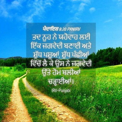 Picture 04 - ਪੈਦਾਇਸ਼ 8:20 PANIRV - ਤਦ ਨੂਹ ਨੇ ਯਹੋਵਾਹ ਲਈ - Bible Verse Picture