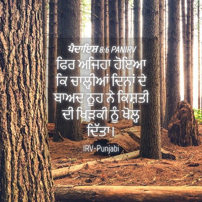 Picture 04 - ਪੈਦਾਇਸ਼ 8:6 PANIRV - ਫਿਰ ਅਜਿਹਾ ਹੋਇਆ ਕਿ - Bible Verse Picture