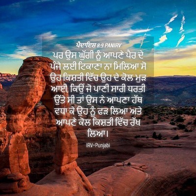 Picture 04 - ਪੈਦਾਇਸ਼ 8:9 PANIRV - ਪਰ ਉਸ ਘੁੱਗੀ ਨੂੰ - Bible Verse Picture