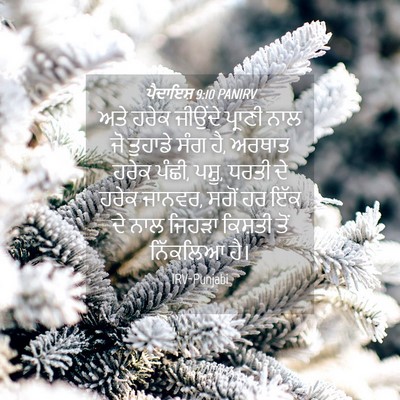 Picture 04 - ਪੈਦਾਇਸ਼ 9:10 PANIRV - ਅਤੇ ਹਰੇਕ ਜੀਉਂਦੇ - Bible Verse Picture