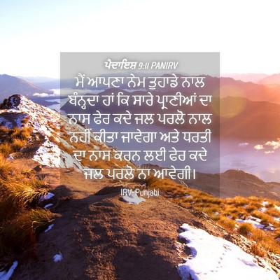 Picture 04 - ਪੈਦਾਇਸ਼ 9:11 PANIRV - ਮੈਂ ਆਪਣਾ ਨੇਮ - Bible Verse Picture