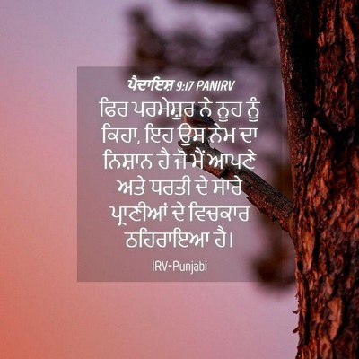 Picture 04 - ਪੈਦਾਇਸ਼ 9:17 PANIRV - ਫਿਰ ਪਰਮੇਸ਼ੁਰ ਨੇ - Bible Verse Picture