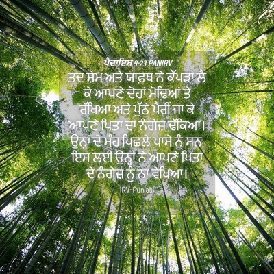 Picture 04 - ਪੈਦਾਇਸ਼ 9:23 PANIRV - ਤਦ ਸ਼ੇਮ ਅਤੇ ਯਾਫ਼ਥ - Bible Verse Picture