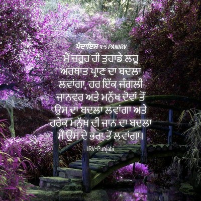 Picture 04 - ਪੈਦਾਇਸ਼ 9:5 PANIRV - ਮੈਂ ਜ਼ਰੂਰ ਹੀ - Bible Verse Picture