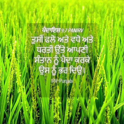 Picture 04 - ਪੈਦਾਇਸ਼ 9:7 PANIRV - ਤੁਸੀਂ ਫਲੋ ਅਤੇ ਵਧੋ - Bible Verse Picture