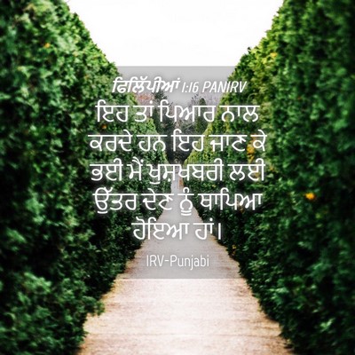 Picture 04 - ਫਿਲਿੱਪੀਆਂ 1:16 PANIRV - ਇਹ ਤਾਂ ਪਿਆਰ ਨਾਲ - Bible Verse Picture