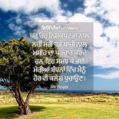 Picture 04 - ਫਿਲਿੱਪੀਆਂ 1:17 PANIRV - ਪਰ ਓਹ ਨਿਸ਼ਕਪਟਤਾ - Bible Verse Picture