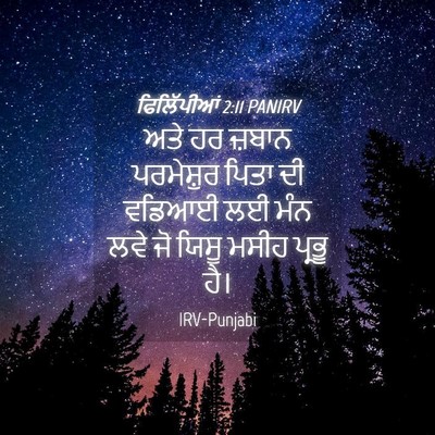 Picture 04 - ਫਿਲਿੱਪੀਆਂ 2:11 PANIRV - ਅਤੇ ਹਰ ਜ਼ਬਾਨ - Bible Verse Picture