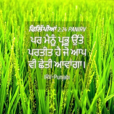 Picture 04 - ਫਿਲਿੱਪੀਆਂ 2:24 PANIRV - ਪਰ ਮੈਨੂੰ ਪ੍ਰਭੂ - Bible Verse Picture