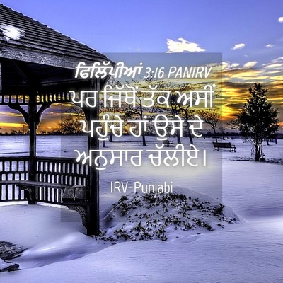 Picture 04 - ਫਿਲਿੱਪੀਆਂ 3:16 PANIRV - ਪਰ ਜਿੱਥੋਂ ਤੱਕ ਅਸੀਂ - Bible Verse Picture