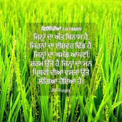 Picture 04 - ਫਿਲਿੱਪੀਆਂ 3:19 PANIRV - ਜਿਨ੍ਹਾਂ ਦਾ ਅੰਤ - Bible Verse Picture